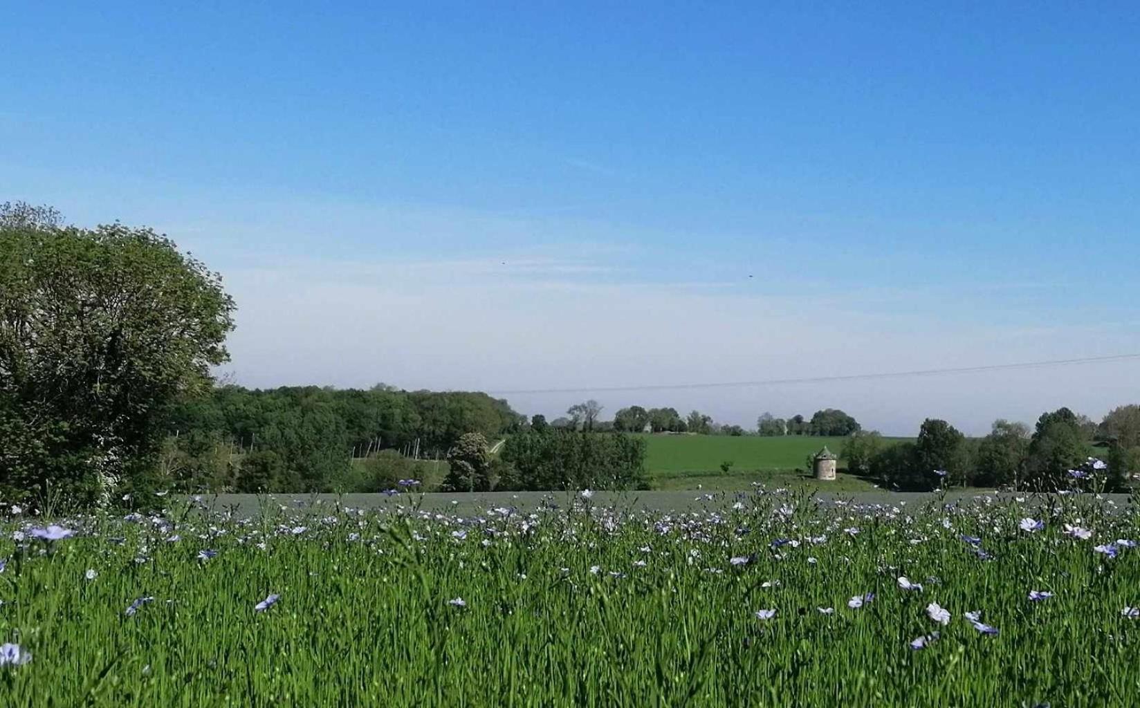 La Vieille Ferme Villa Donnay Bagian luar foto