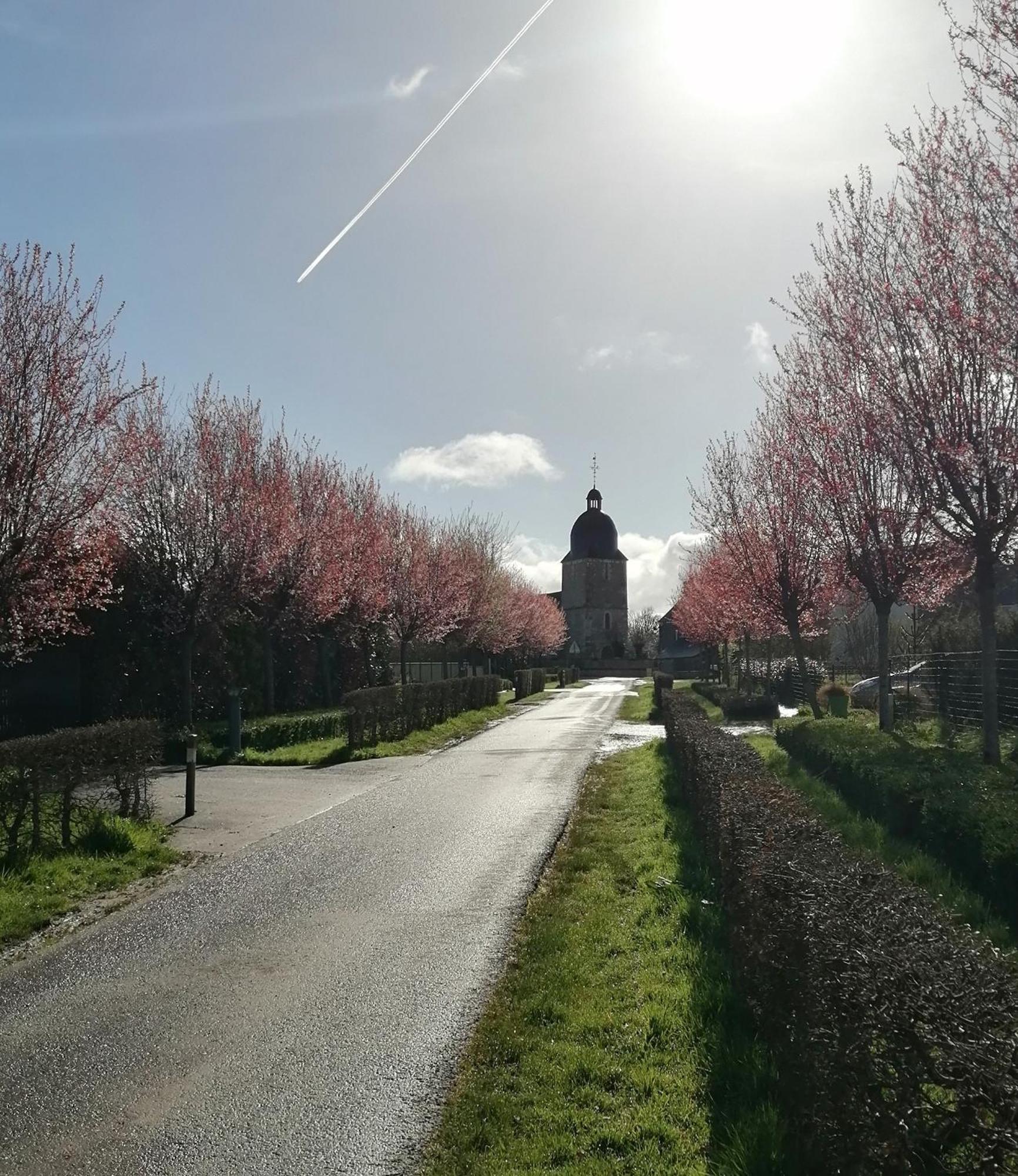 La Vieille Ferme Villa Donnay Bagian luar foto